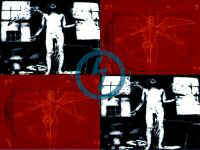 marilyn1-c.JPG (9338 bytes)