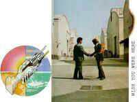 pink4-c.JPG (7790 bytes)